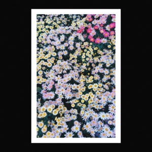 ФОРМАТ 10Х15 BORDER