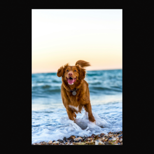 ФОРМАТ 10Х15 STANDART